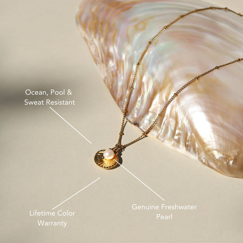 Seashell Necklace