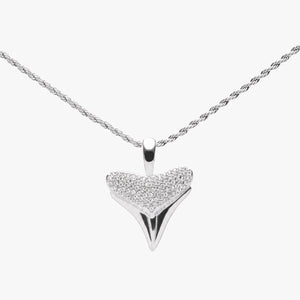 Shark Tooth Pendant