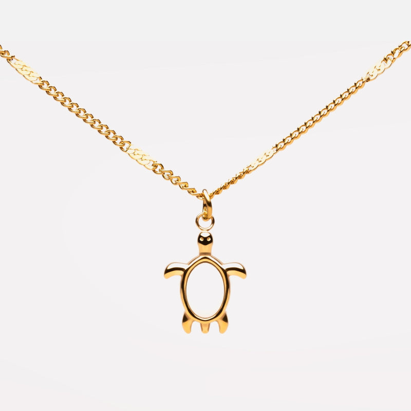Turtle Guardian Necklace